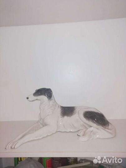 Русская борзая, Германия, не Rosenthal