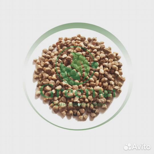 Качественная микрозелень