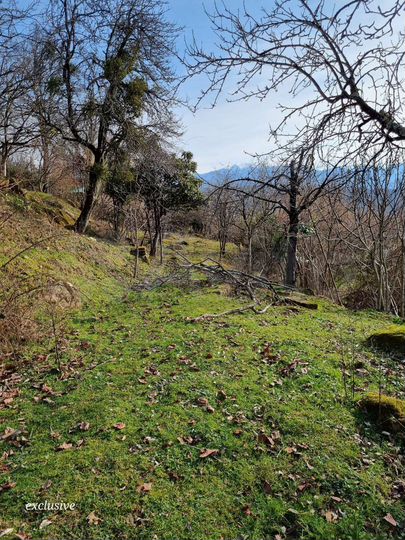 Участок 23 сот. (ИЖС)