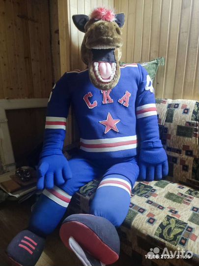 Символ хоккейной команды ска