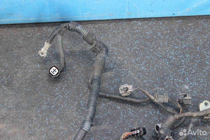 Проводка двигателя Toyota Corolla (Тойота Королла)