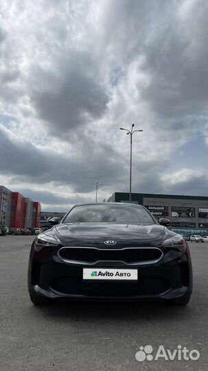 Kia Stinger 2.0 AT, 2019, 63 571 км