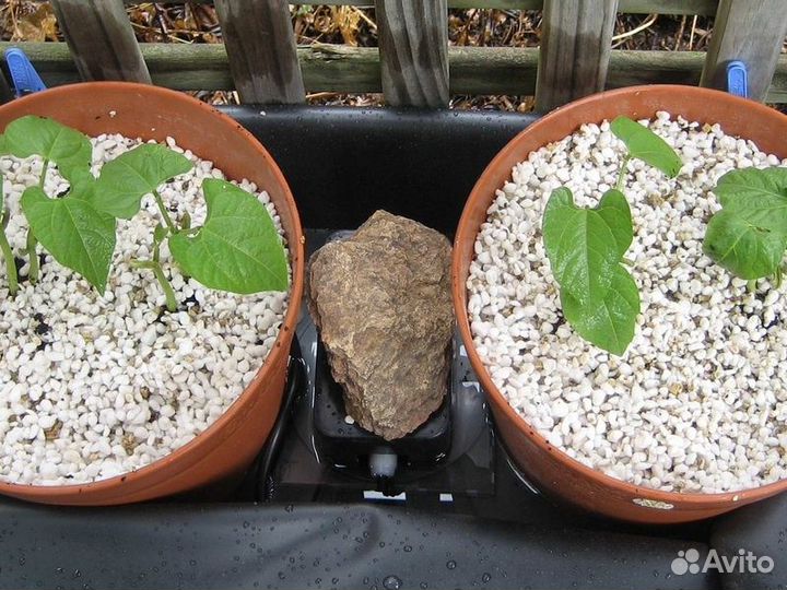 Перлит для растений