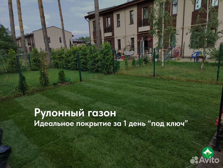 Рулонный газон