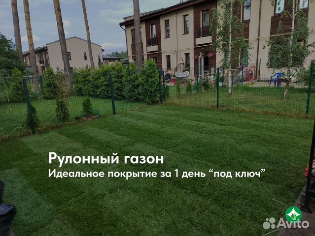 Рулонный газон