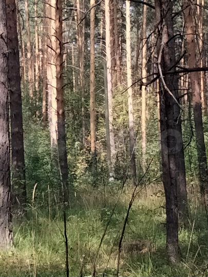 Участок 17,1 сот. (ИЖС)