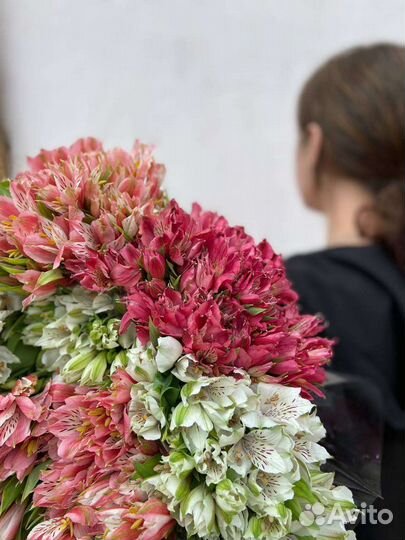 Альстромерия