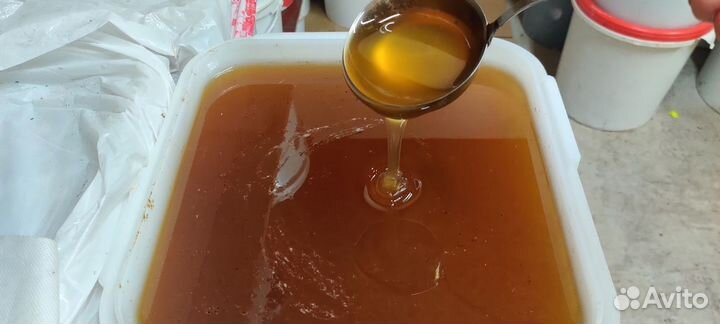 Майский жидкий мед оптом с Алтая