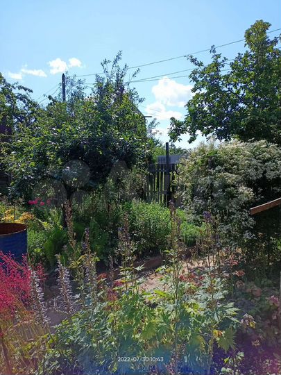 Дача 35 м² на участке 6,8 сот.