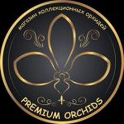 Premium orchids