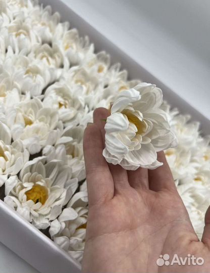 Мыльные розы и астры