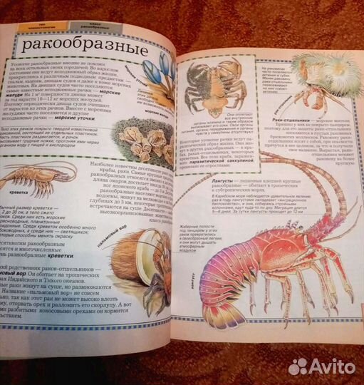 Большая энциклопедия животного мира