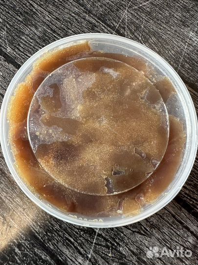 Икра сельди