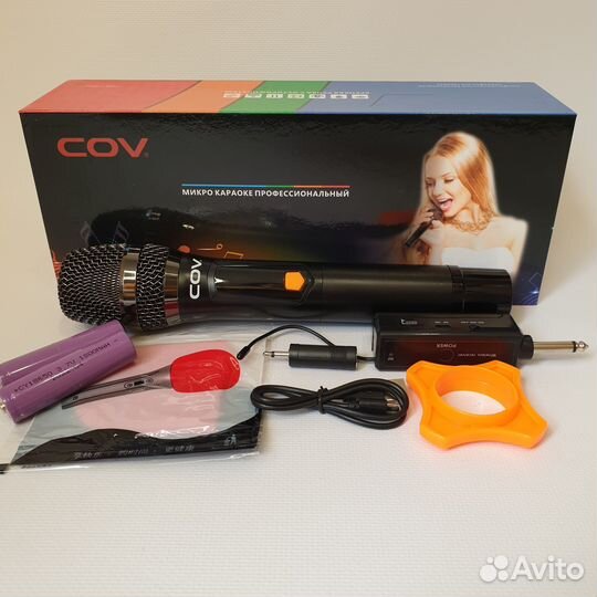 Караоке-система с двумя беспроводными микрофонами