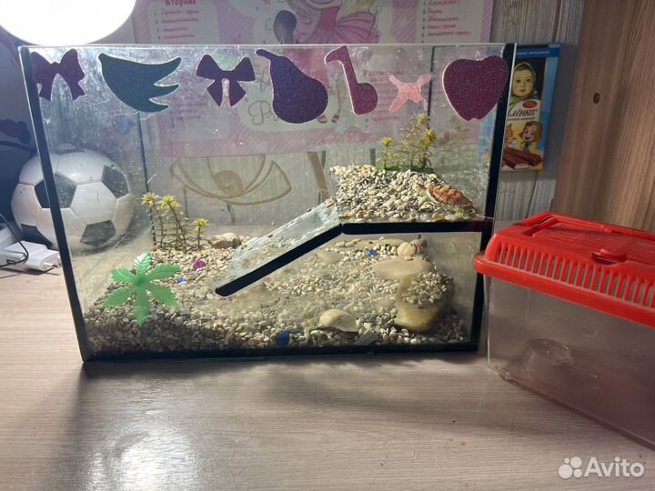 Аквариум для черепах