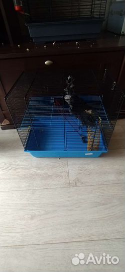 Большая клетка для крыс. И для других животных