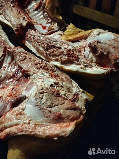 Мясо свинина