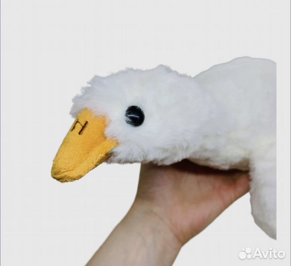 Гусь обнимусь