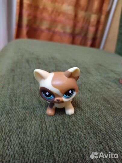 Littlest Pet Shop