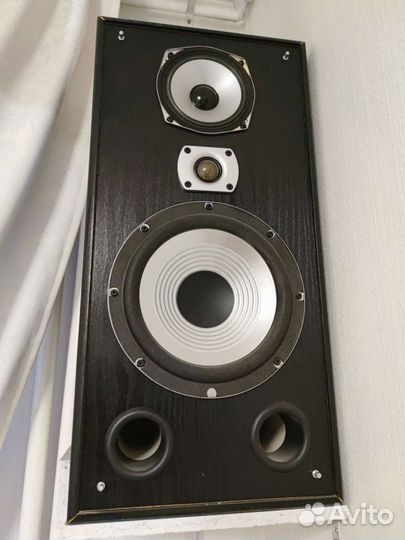 Акустика, проф. сделана под заказ, 2+1(центр)