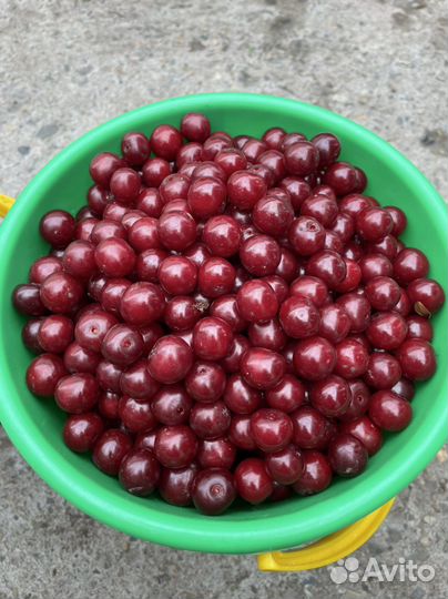Продукты питания