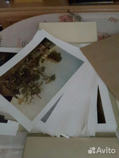 Эрмитаж гравюры