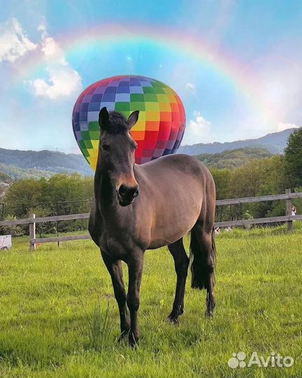 Экскурсия в долину Мацеста