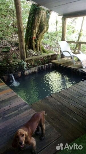 База отдыха Белый Ацху (ущелье Ахцу)