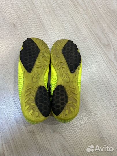 Сороконожки