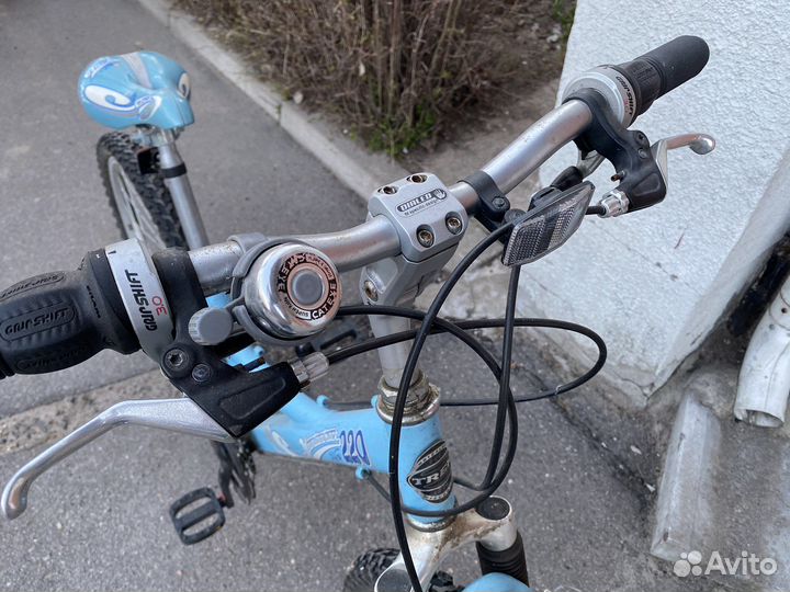 Подростковый велосипед Trek Mountaintrek 220