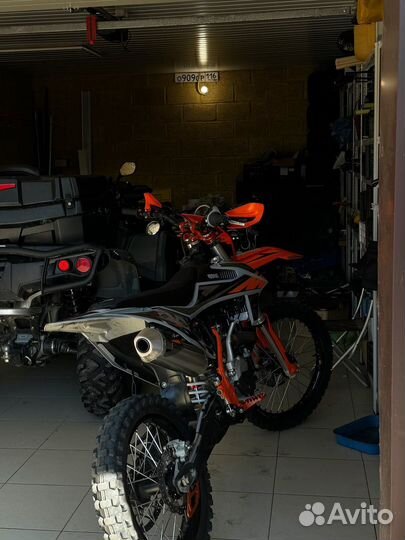 Gr8 F300L optimum