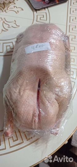 Гуси и мясо Кролика