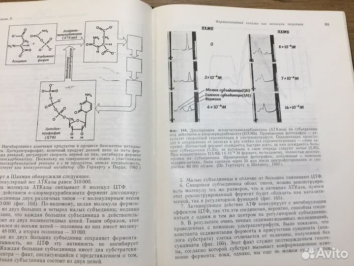 Ретро издание. Структура и функции клетки