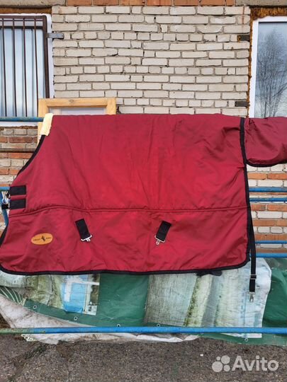 Попона для лошади