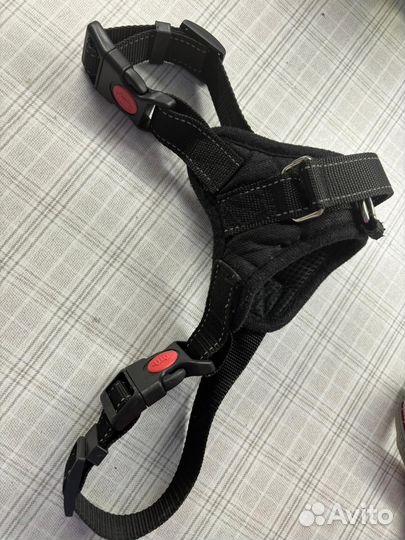 Амуниция для собак