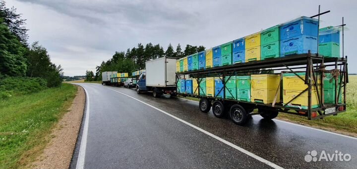 Пчелоприцеп