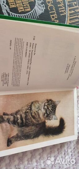 Энциклопедия кошки Джино Пуньетти