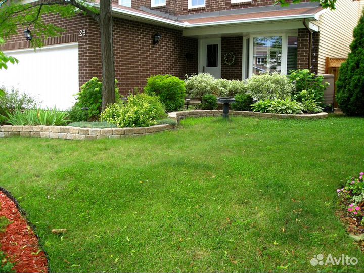 Укладка и продажа газона