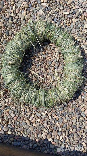 Венок из сухоцветов