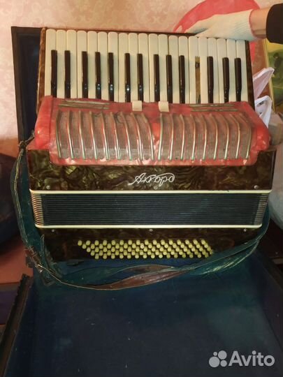 Аккордеон
