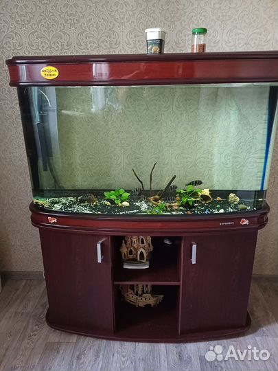 Аквариум