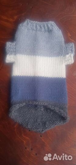 Тёплый свитер для сфинкса