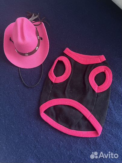 Одежда для маленьких собак