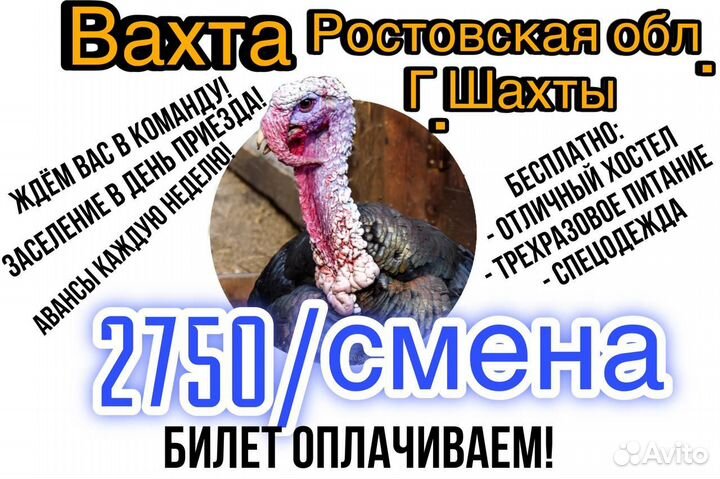 Птицефабрика упаковщик на производстве вахта