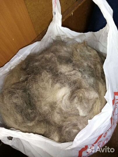 Шерсть собачья