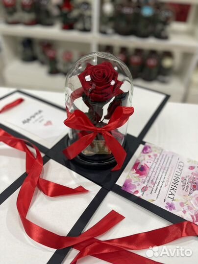 Роза в колбе