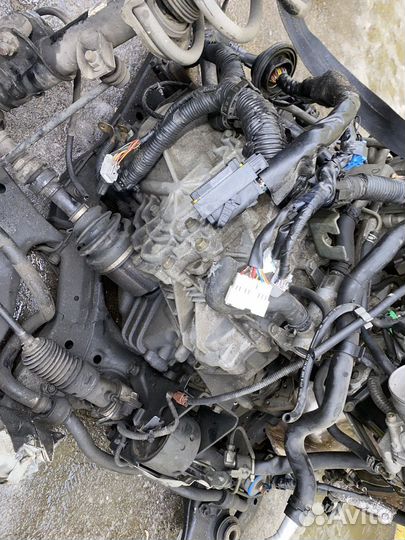 АКПП VQ35DE Nissan Murano Z50 310201XD16