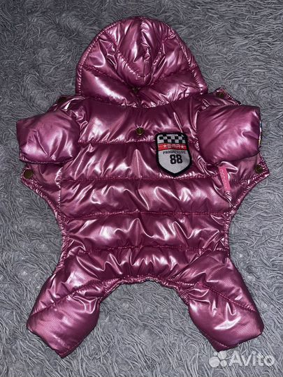 Одежда для маленьких собак