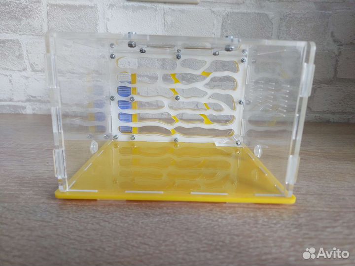 Муравьиная ферма