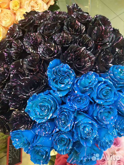 Роза Эквадор Цветная 60см